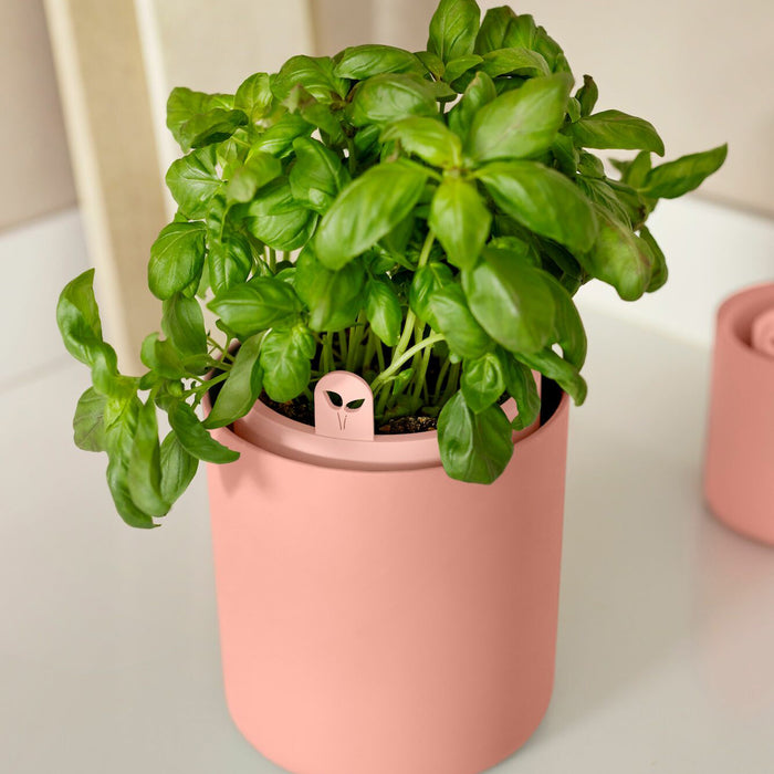 elho Bouncy Basil Pot Ø 17 cm - Roze
