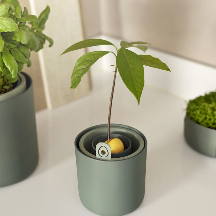 elho Amazing Avocado Pot Ø 12 cm - Groen