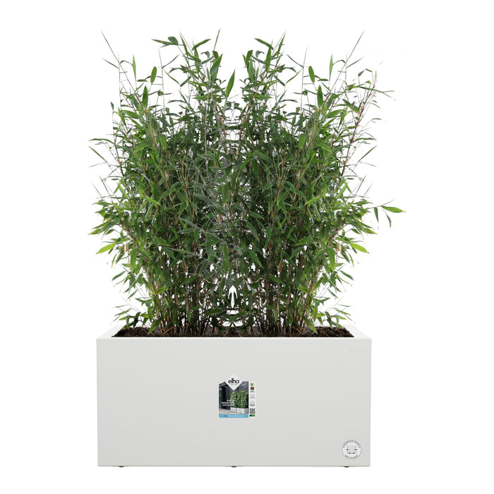 elho Vivo Next Plantenbak B 60 cm - Wit