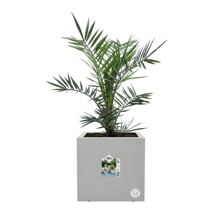 elho Vivo Next Plantenbak B 30 cm - Grijs