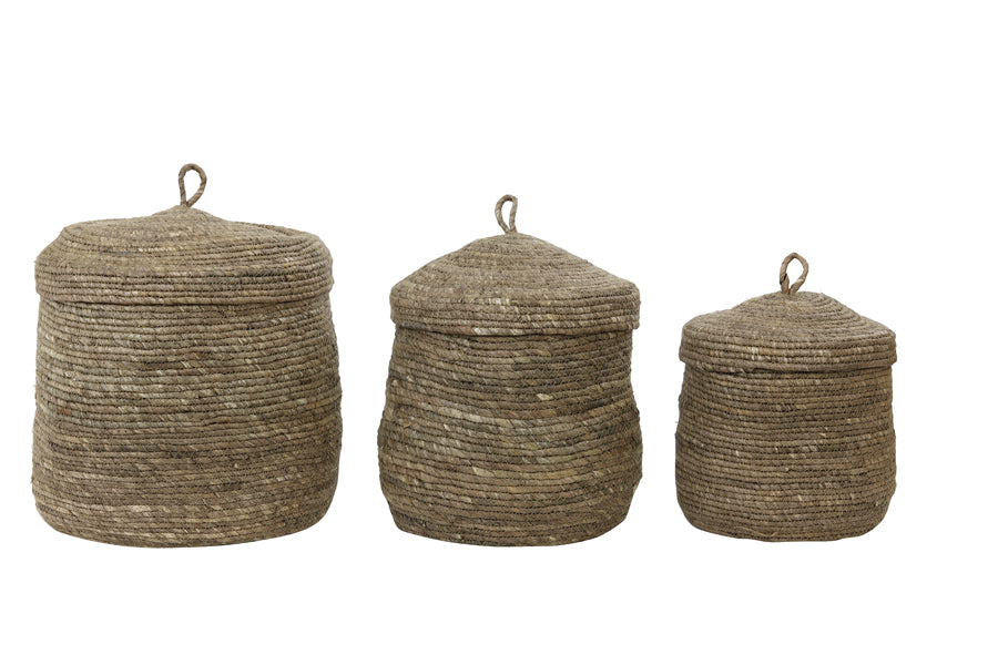 Light&living Mand S|3 met deksel max Ø36x42 cm MANGALA donker bruin