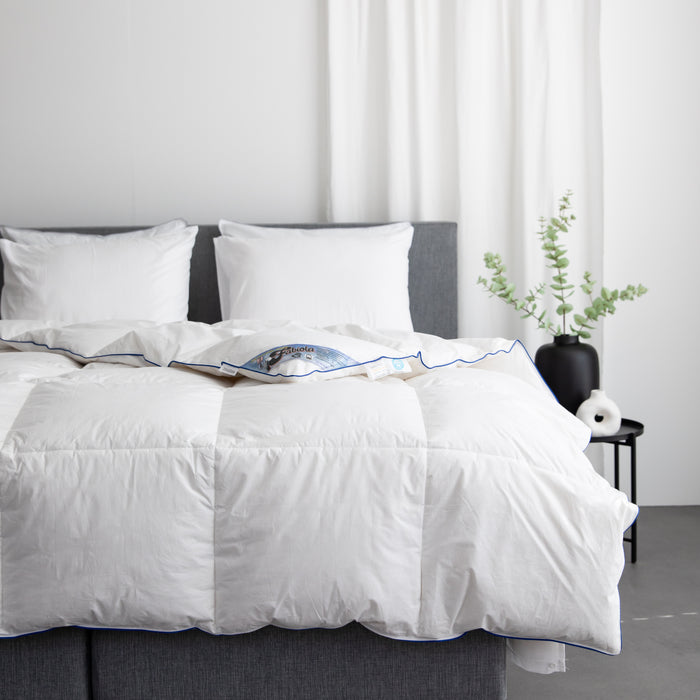 Fabiola - Zwaar Dons - Winter Dekbed - 200x200cm