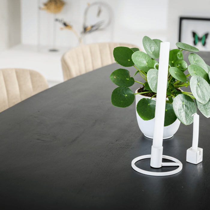 4c89e37a-1051-4b10-8b4e-441f392aa655-sfeerbeeld.jpg (5394703) 