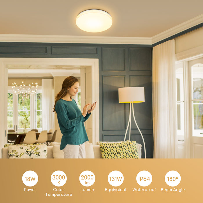 ebe5d217-e32b-4d25-badb-20cd3091629e-afbeelding3.jpg (5397343) 