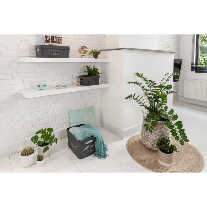 Curver Infinity Recycled Opbergbox - 11L - 3 stuks - Grijs