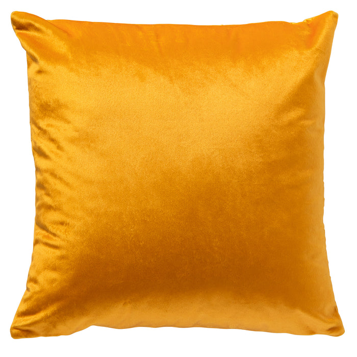 b61a7d10-75d3-4630-a397-47d405bc4655-afbeelding3.jpg (5421679) 