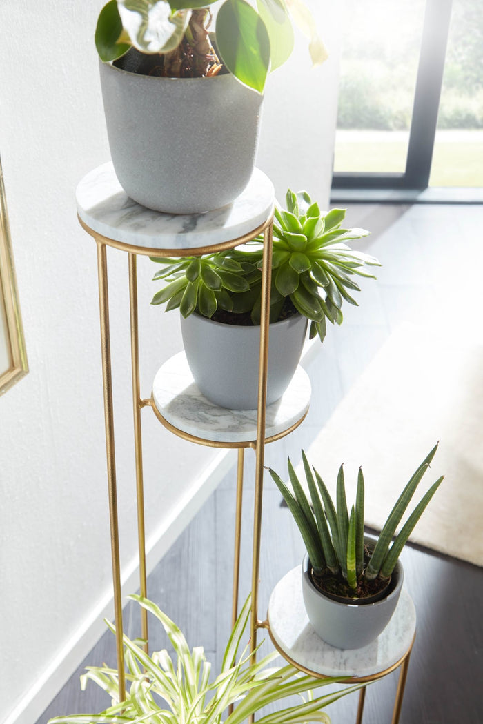 Sky Style Runder Plantentafel Marmer | Goud