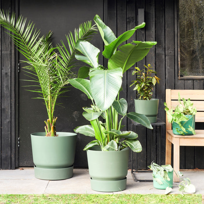 elho Greenville Bloempot 47 cm