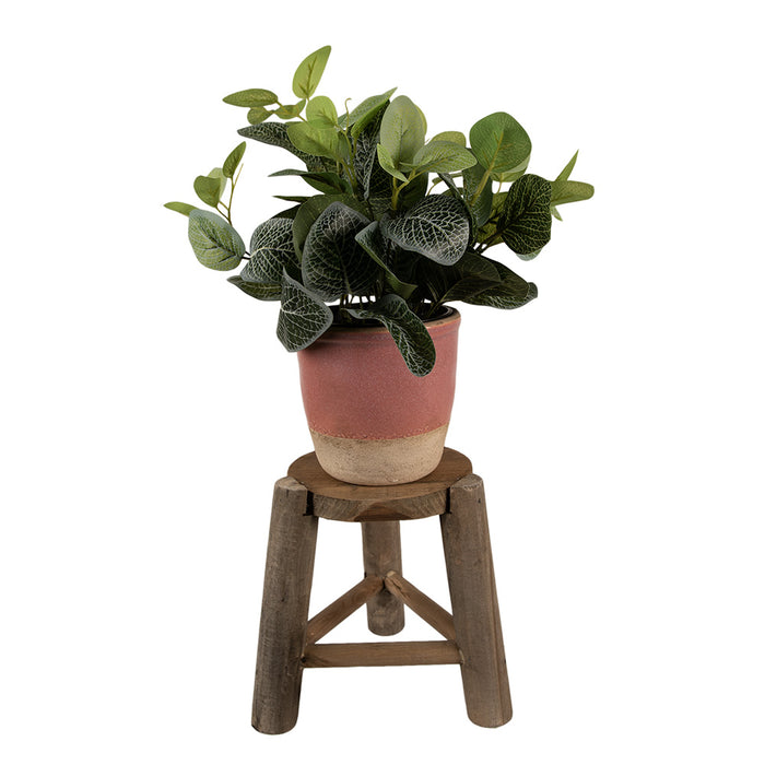 9b137881-ae4f-4969-82bd-0a247a9d9c60-afbeelding10.jpg (5453960) 