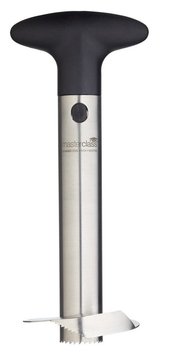 MasterClass - Ananas Schiller & Snijder - RVS - MasterClass