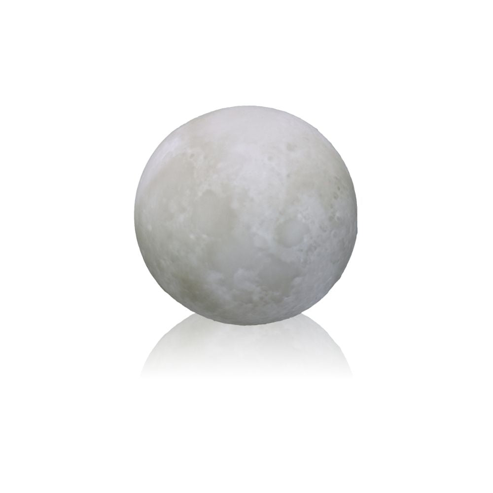 02448dd7-500d-427a-8338-69c5d605c3b2-vrijstaandbeeld.jpg (5506546) 