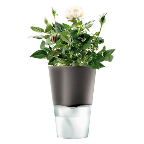 Eva Solo Kruidenpot ø 11 cm