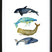 Wallified - Walvissen Poster - Wallified - Natuur - Landschap - Zee -