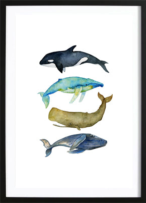 Wallified - Walvissen Poster - Wallified - Natuur - Landschap - Zee -