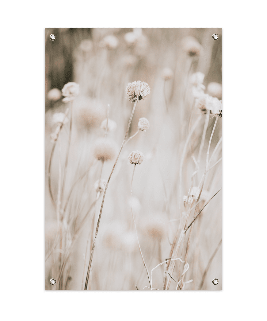 Wallified - Dried Flower Field Tuinposter (60x90cm) - Wallified -