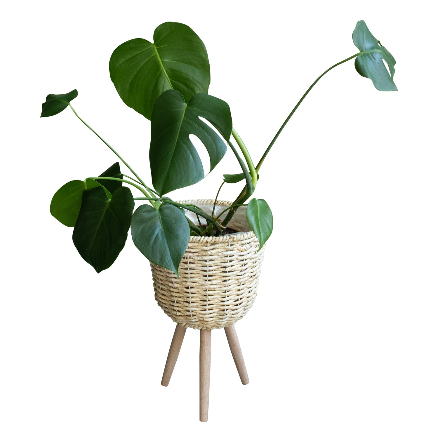 3b4f6368-d4b5-4ac5-86b8-2554873e0681-vrijstaandbeeld.jpg (5776689) 