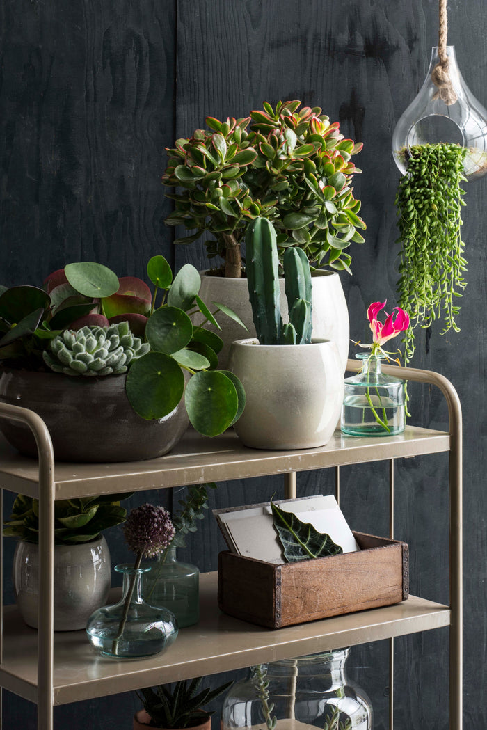 08210204-a4af-47aa-bc1f-365a16169e49-afbeelding4.jpg (5779949) 