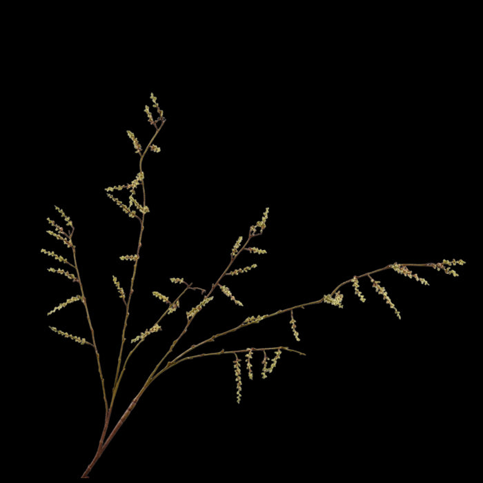 24f0d716-e8da-4f95-a800-75114f953d76-vrijstaandbeeld.jpg (5786967) 