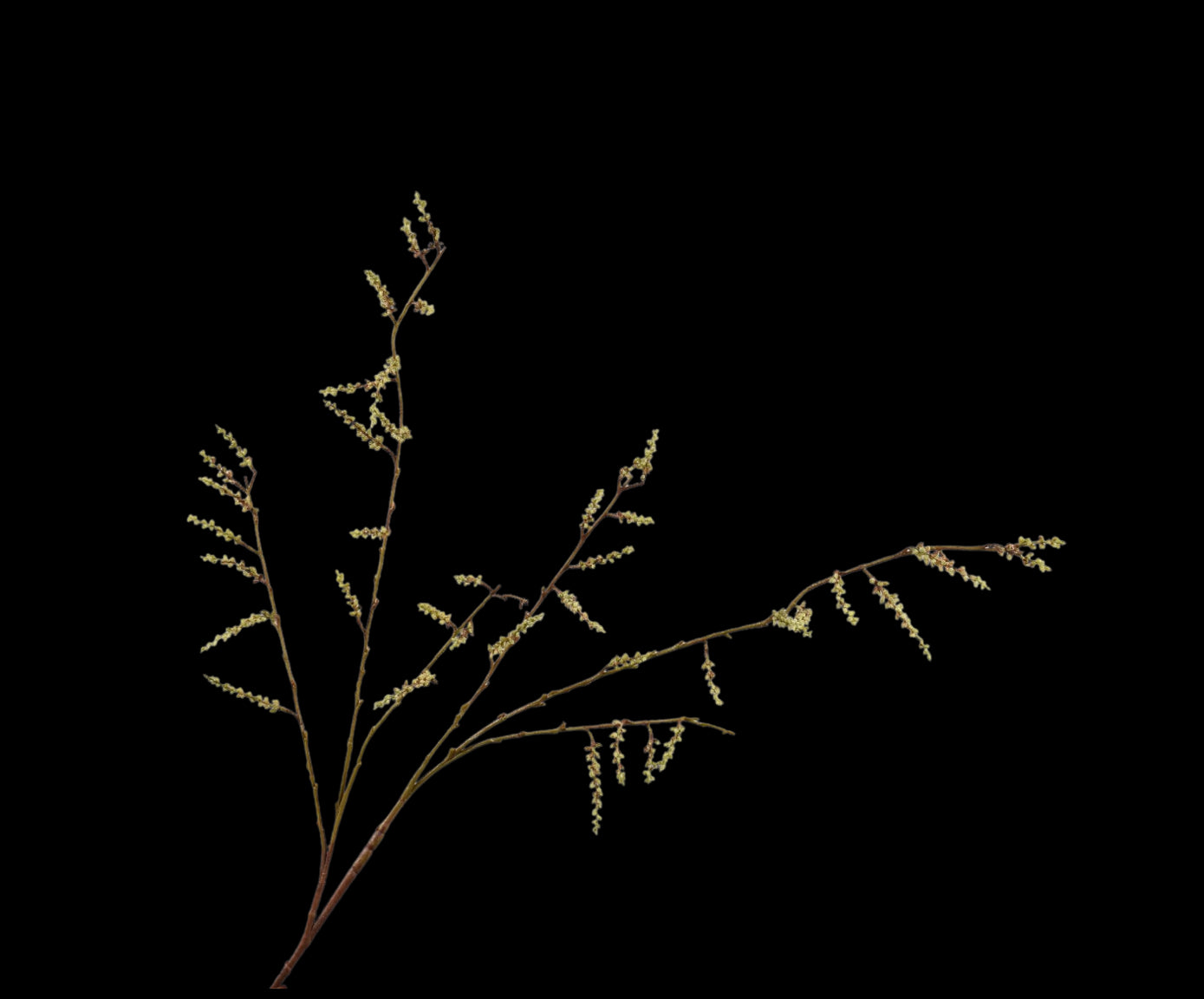 24f0d716-e8da-4f95-a800-75114f953d76-vrijstaandbeeld.jpg (5786967) 