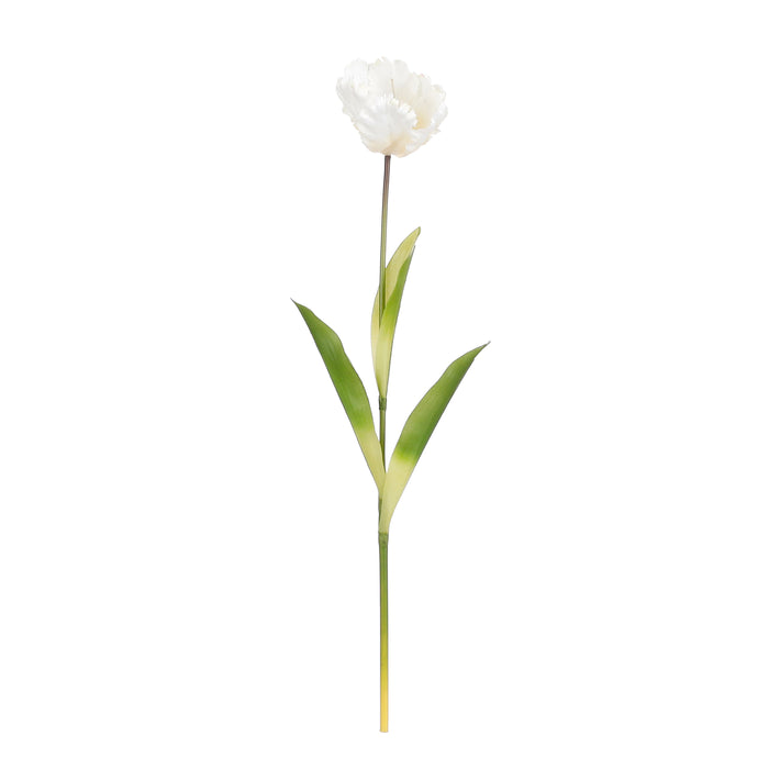 Mica Decorations Papegaai Tulp - Set van 3 - L73 cm - Crème