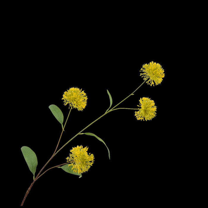 300c7926-c18f-4161-8fe7-8a3ee3db0e24-vrijstaandbeeld.jpg (5787174) 