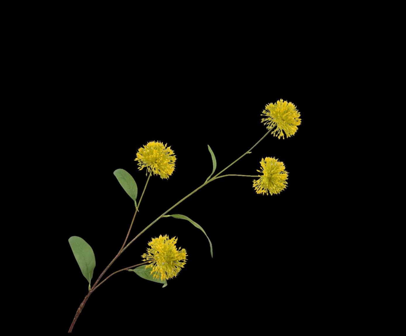 300c7926-c18f-4161-8fe7-8a3ee3db0e24-vrijstaandbeeld.jpg (5787174) 