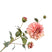 Silk-ka Kunstbloem-Zijden Bloem Dahlia Zijde Roze 80 cm