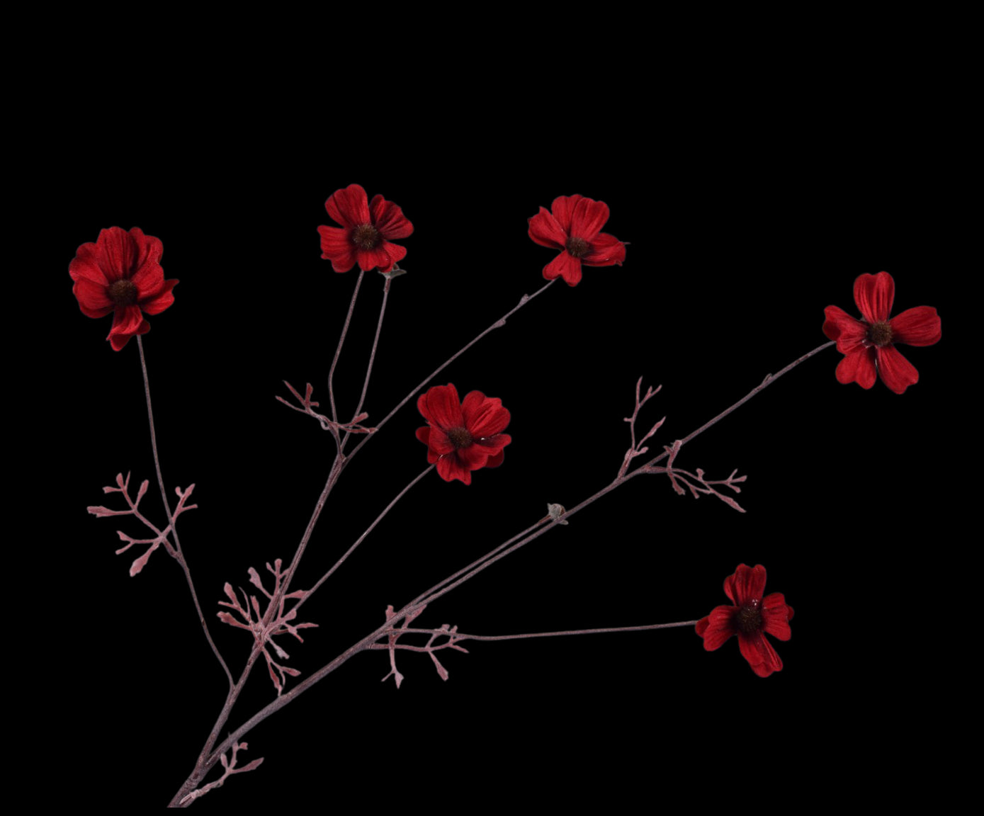 f80c6a76-2220-4fe1-9505-6529a41a0c3a-vrijstaandbeeld.jpg (5787230) 