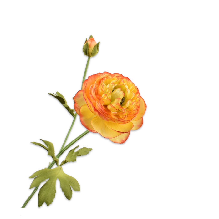 2eadefec-57ad-4d3b-99ed-2c35516e7e7b-vrijstaandbeeld.jpg (5787375) 