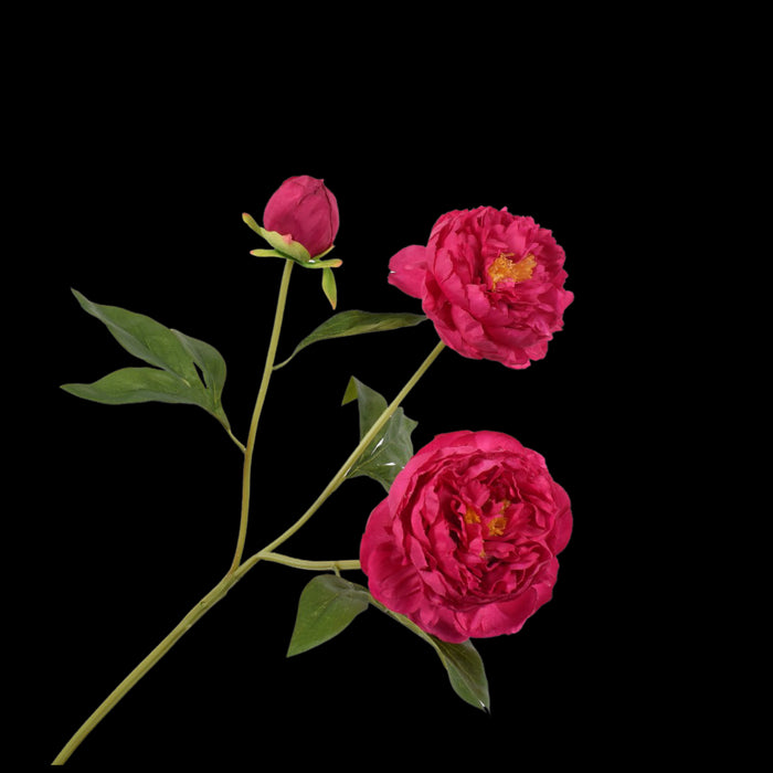 b3aa08f7-2514-4793-b919-146efabcd4ee-vrijstaandbeeld.jpg (5787403) 