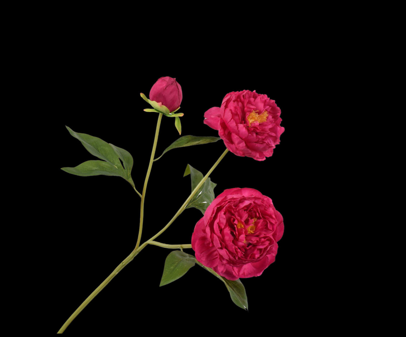 b3aa08f7-2514-4793-b919-146efabcd4ee-vrijstaandbeeld.jpg (5787403) 