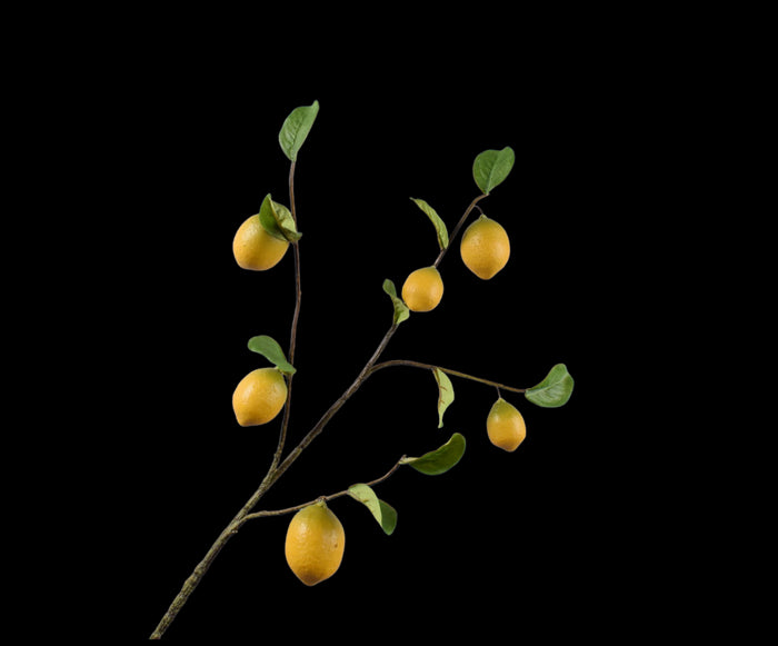 24a8e7fc-5f15-4ed2-a1e4-0d1634e7ccc1-vrijstaandbeeld.jpg (5787488) 