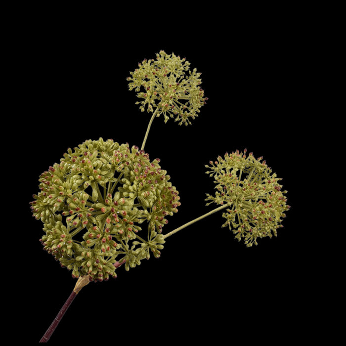 26cb5ccb-41c4-4b78-9654-562e9ffed8b9-vrijstaandbeeld.jpg (5787663) 