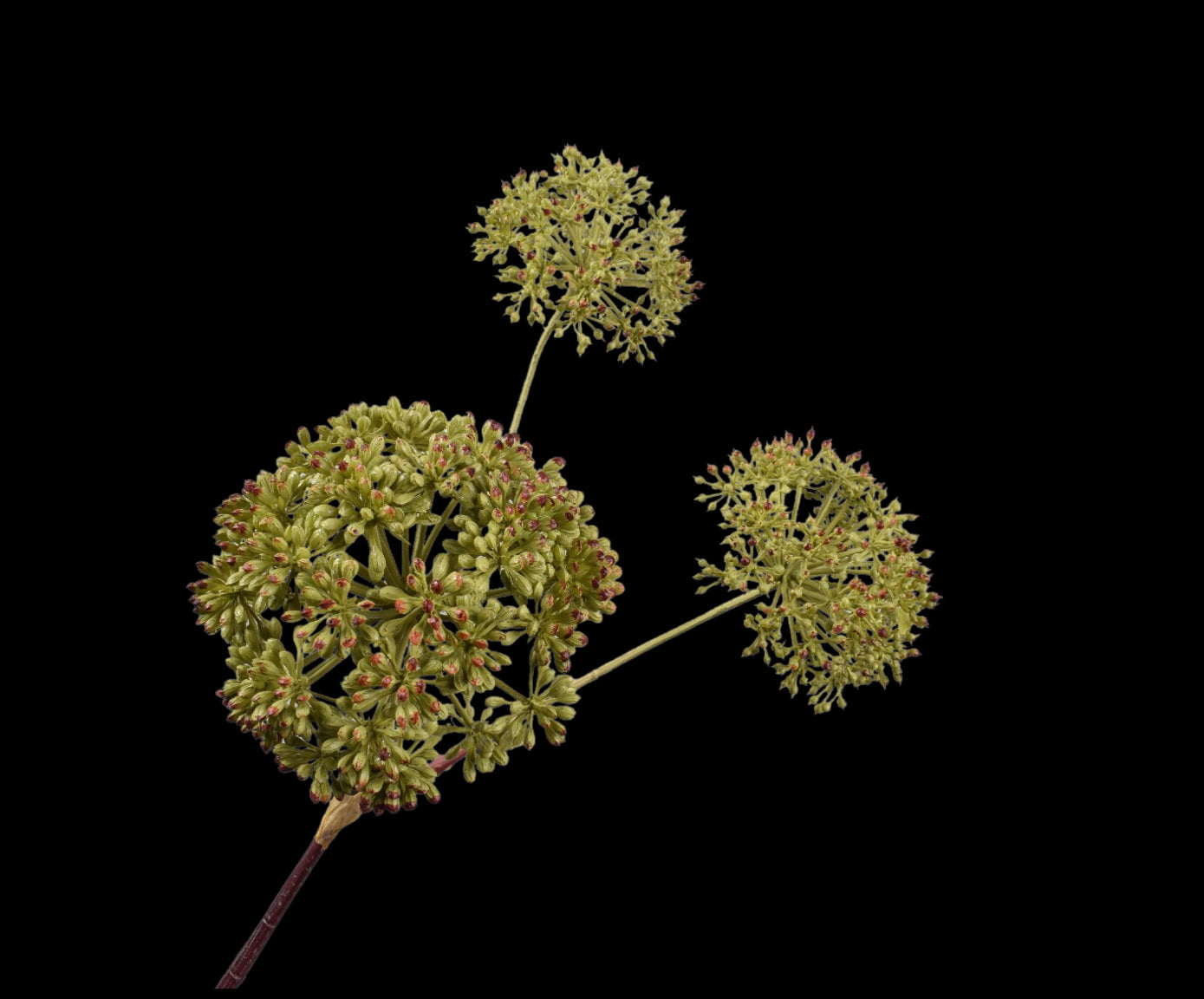 26cb5ccb-41c4-4b78-9654-562e9ffed8b9-vrijstaandbeeld.jpg (5787663) 