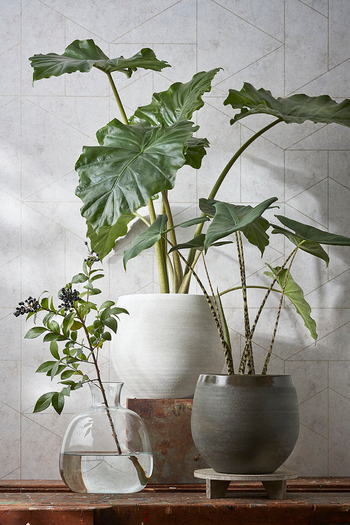 78317fc0-dce5-49bd-a221-55c2c351f8ad-afbeelding7.jpg (5789179) 