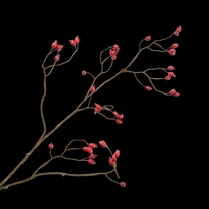 9b6692d1-a86d-4bf1-89e4-415351cb268e-vrijstaandbeeld.jpg (5789221) 