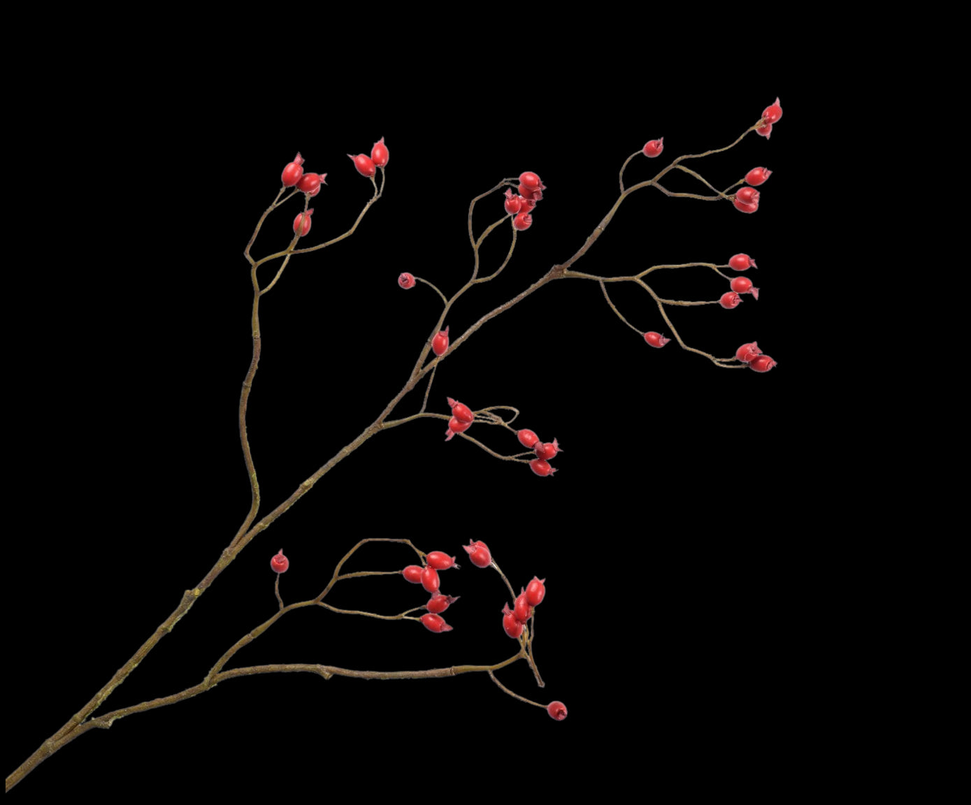 9b6692d1-a86d-4bf1-89e4-415351cb268e-vrijstaandbeeld.jpg (5789221) 