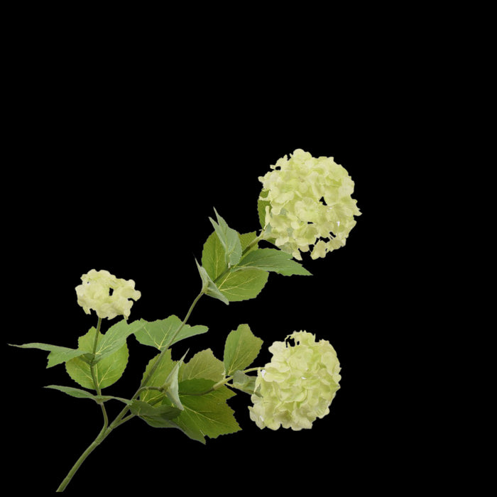 4f0ca2a6-72c9-426a-b71e-0694211dfe2e-vrijstaandbeeld.jpg (5789846) 