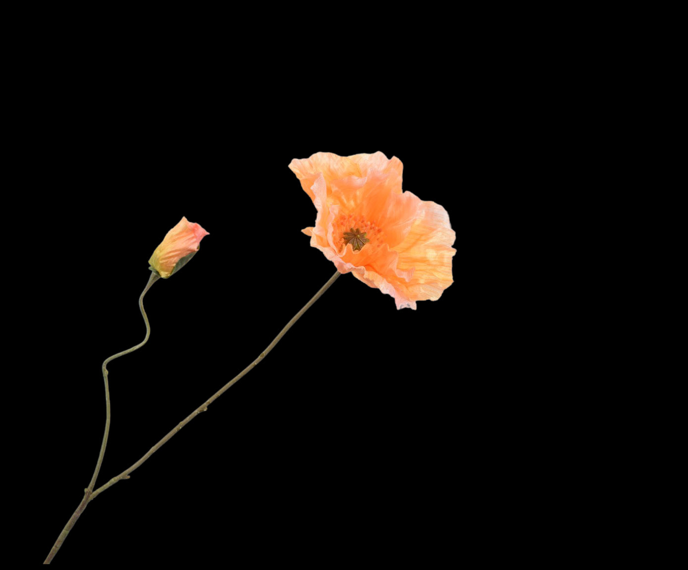 00a1d088-51d3-4f5d-8726-aa7ecce8efe9-vrijstaandbeeld.jpg (5789878) 