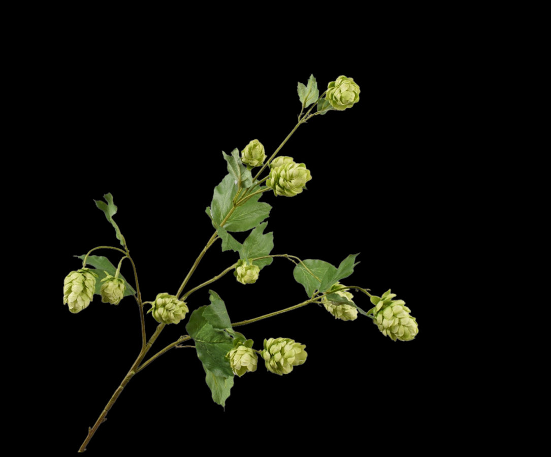 8ba0ca35-102f-4969-a23a-edd1428bfe60-vrijstaandbeeld.jpg (5789929) 