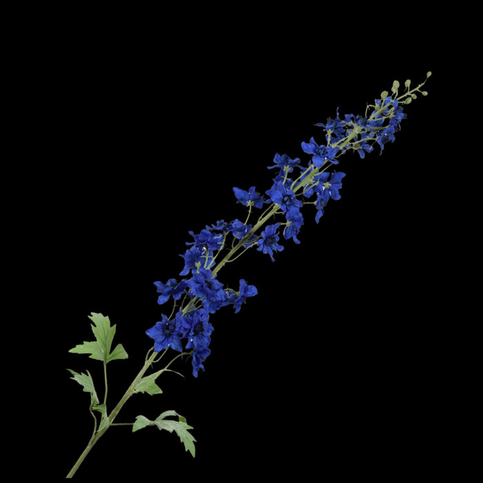 2233d336-bebc-4f6b-8a16-3a2980a927bb-vrijstaandbeeld.jpg (5789963) 