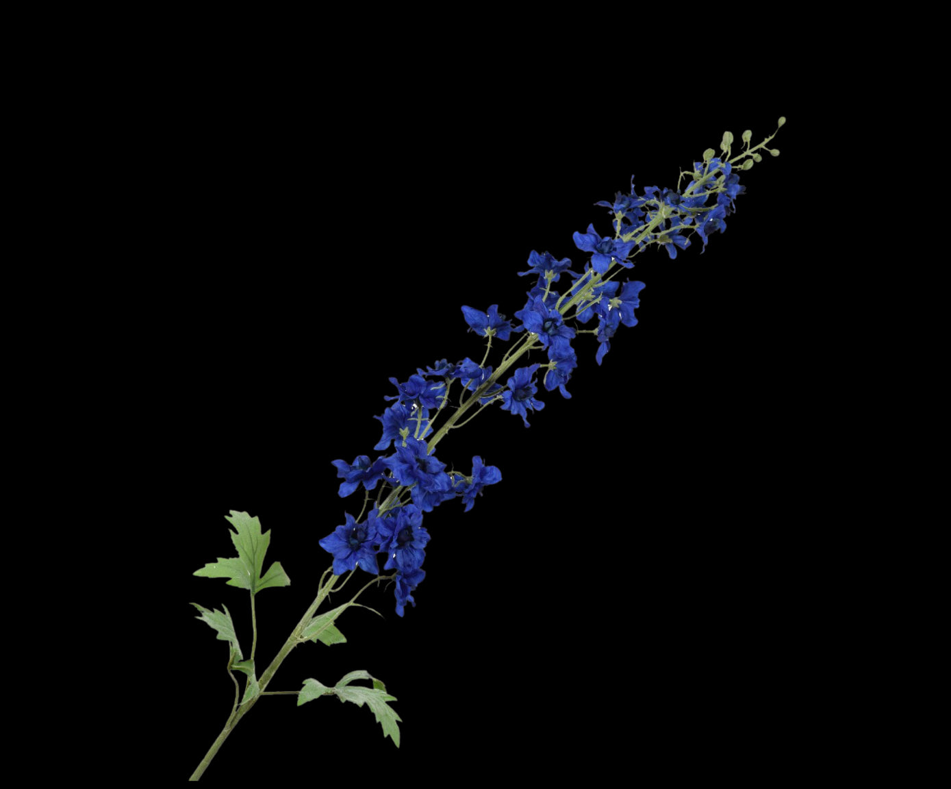 2233d336-bebc-4f6b-8a16-3a2980a927bb-vrijstaandbeeld.jpg (5789963) 