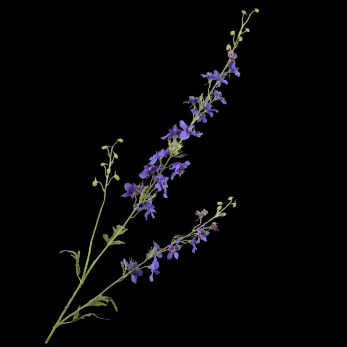 e12c44b9-102c-4981-8c41-5eb81198631c-vrijstaandbeeld.jpg (5790023) 