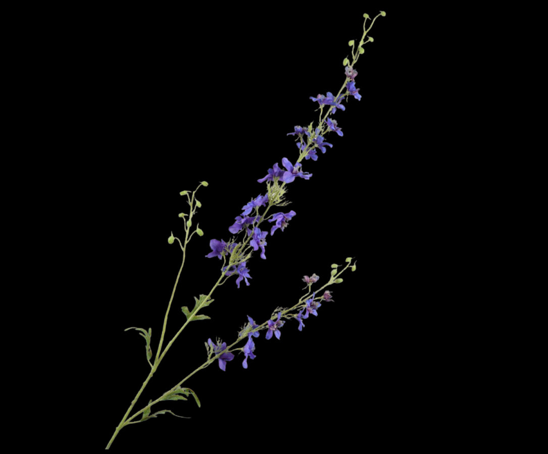 e12c44b9-102c-4981-8c41-5eb81198631c-vrijstaandbeeld.jpg (5790023) 