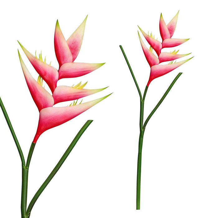 PTMD Garden Bloem Heliconia Kunstbloem - 36 x 18 x 86 cm - Roze