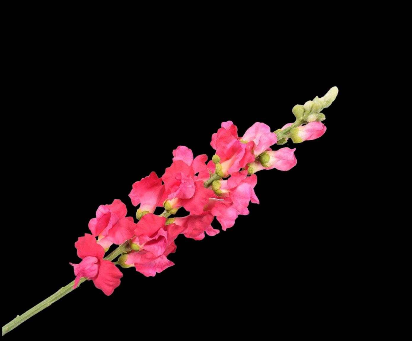 31dc457f-30a7-4280-8997-fc8e4383d867-vrijstaandbeeld.jpg (5790196) 