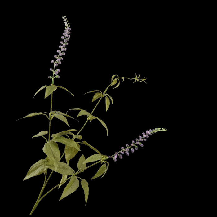 57d0b165-dbdd-48b3-978d-117886ded588-vrijstaandbeeld.jpg (5790207) 