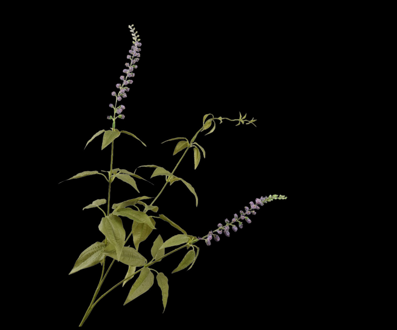 57d0b165-dbdd-48b3-978d-117886ded588-vrijstaandbeeld.jpg (5790207) 