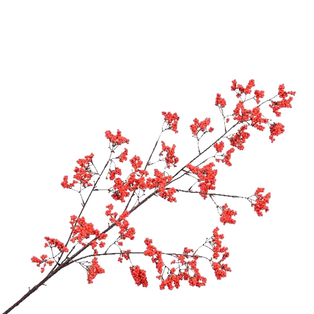 Silk-ka Kunstbloem-Zijden Bloem-Bessentak Zijde Rood 110 cm