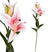 PTMD Lily Lelie Kunstbloem - 40,5 x 25 x 81 cm - Roze